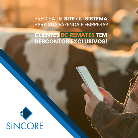 SiNCORE Digital