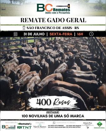 Remate Gado Geral