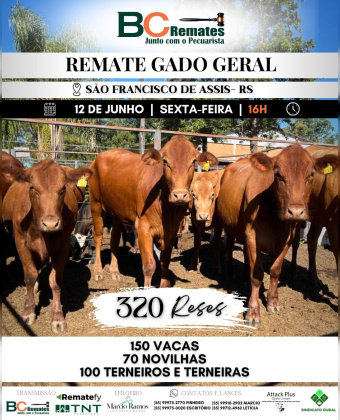 Remate Gado Geral