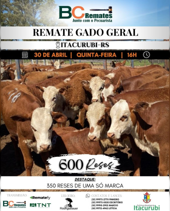 Feira de Terneiros, Terneiras e Vaquilhonas