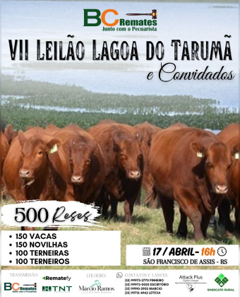 VII Leilão Lagoa do Tarumã e Convidados