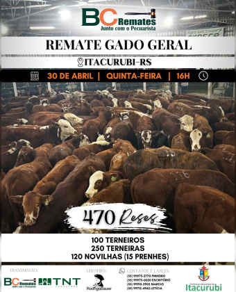 Feira de Terneiros, Terneiras e Vaquilhonas