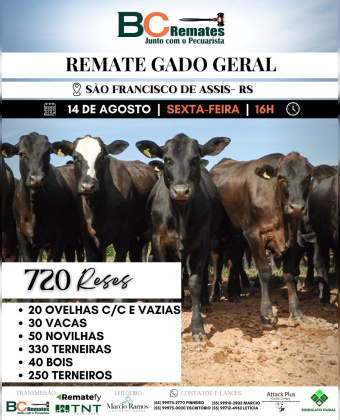 Remate Gado Geral