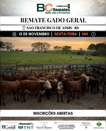 Remate Gado Geral