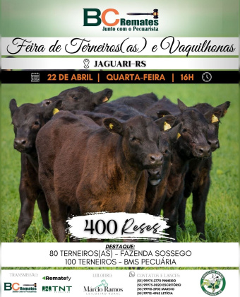 Feira de Terneiros, Terneiras e Vaquilhonas
