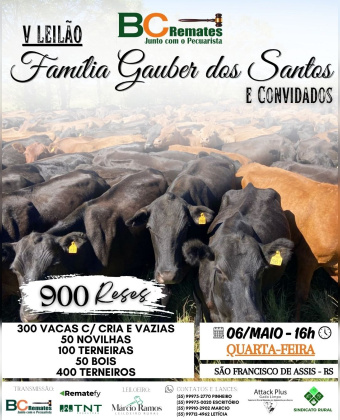 V Leilão Família Gauber dos Santos