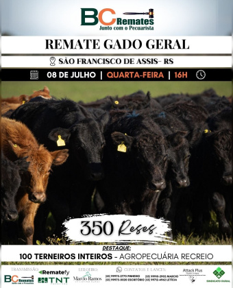 Remate Gado Geral