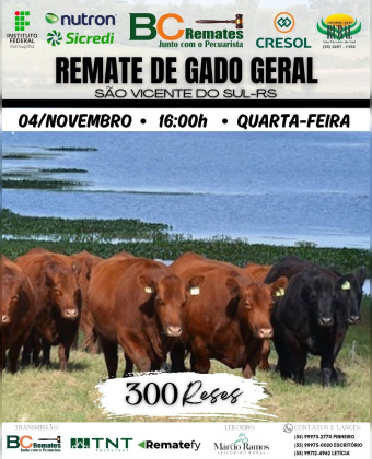 Remate Gado Geral