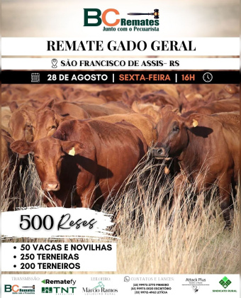 Remate Gado Geral