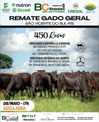 Remate Gado Geral