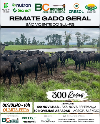 Remate Gado Geral