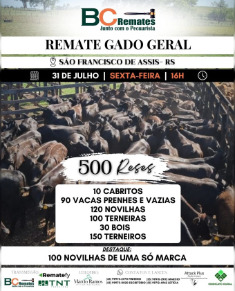 Remate Gado Geral