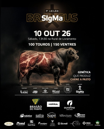 7º Leilão Sigma Brangus