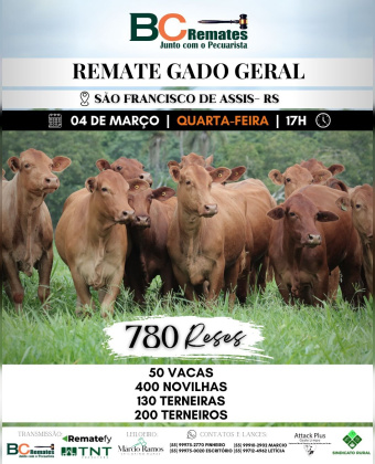 Remate Gado Geral