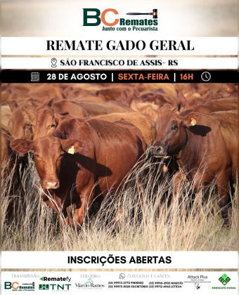Remate Gado Geral