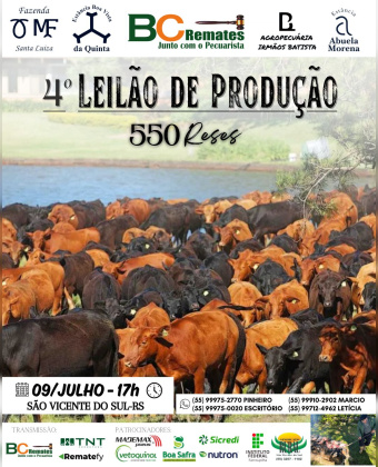4º Leilão de Produção
