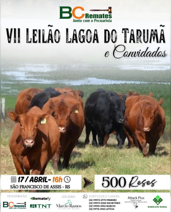 VII Leilão Lagoa do Tarumã e Convidados