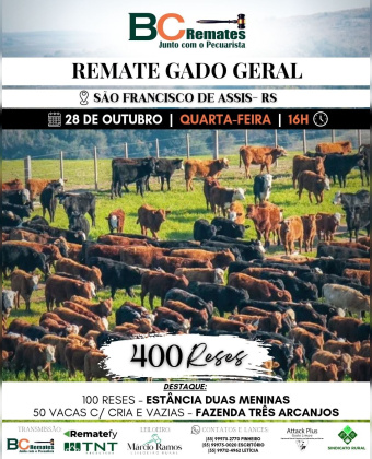Remate Gado Geral