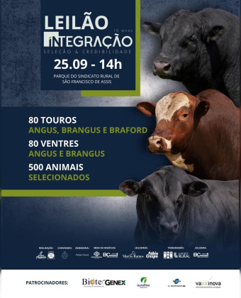 Leilão Integração