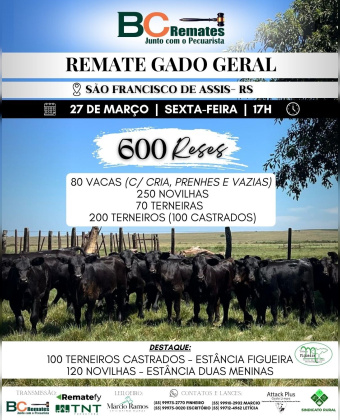 Remate Gado Geral
