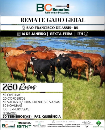 Remate Gado Geral