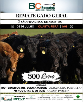 Remate Gado Geral