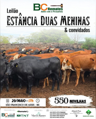 Leilão Estância Duas Meninas & convidados