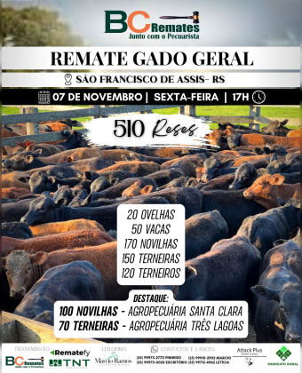 Remate Gado Geral