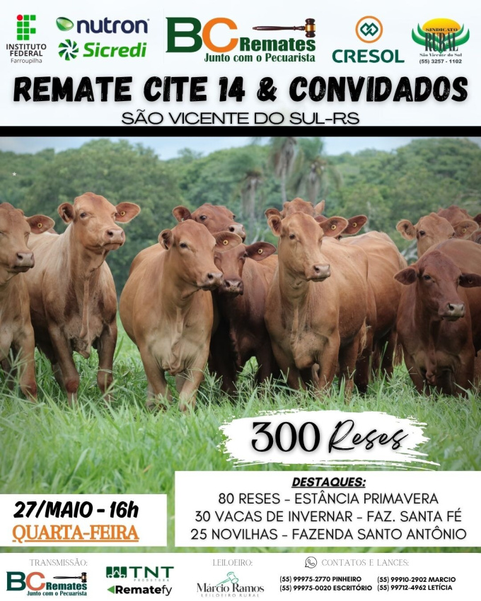 Remate Cite 14 e convidados