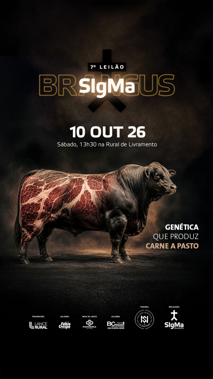 7º Leilão Sigma Brangus