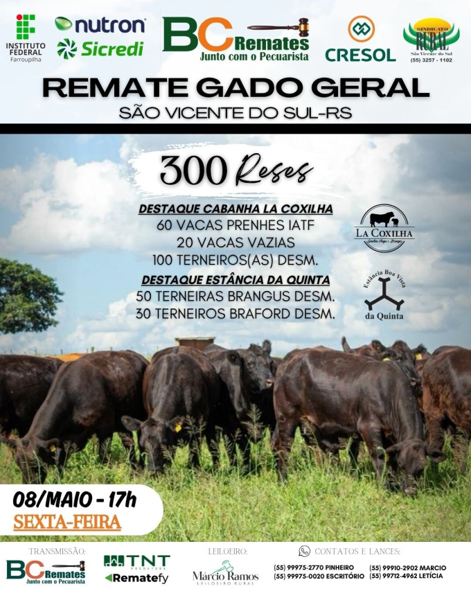 Remate Gado Geral