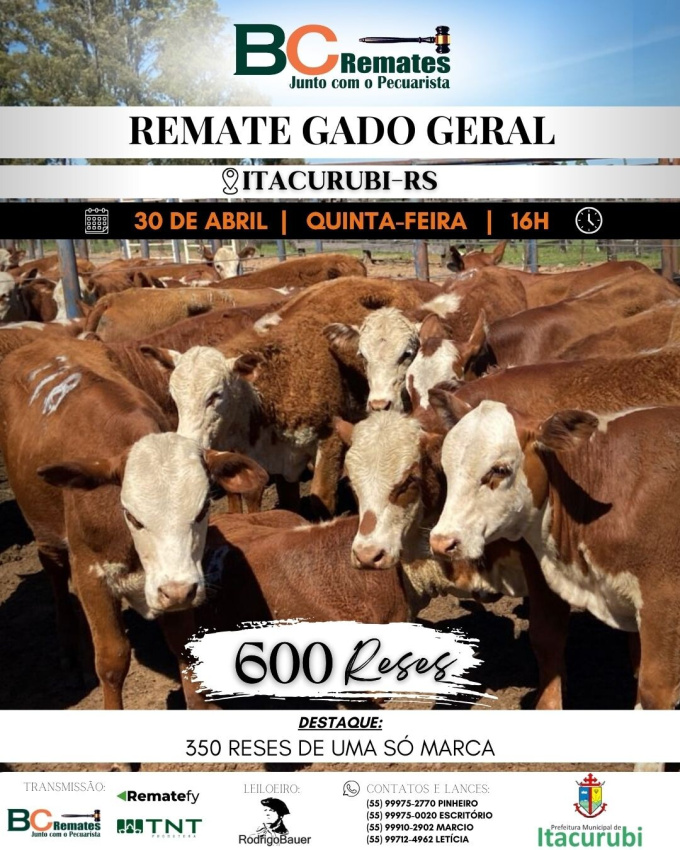 Feira de Terneiros, Terneiras e Vaquilhonas