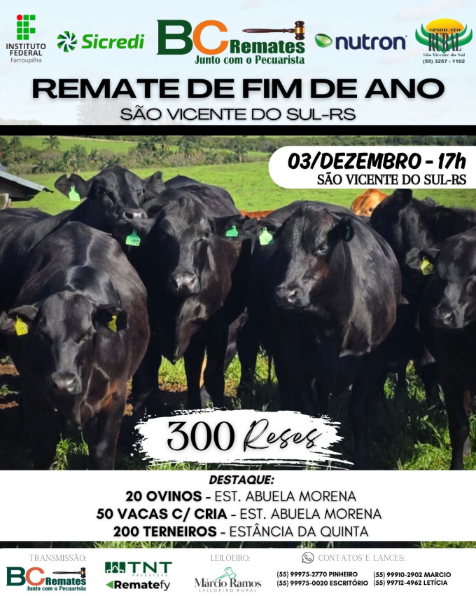 Remate de Fim de Ano 