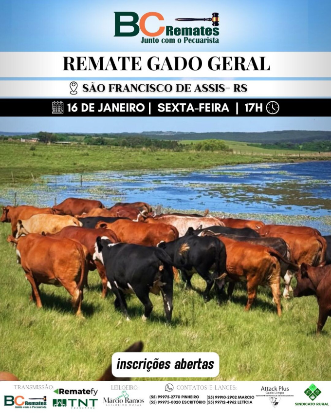 Remate Gado Geral