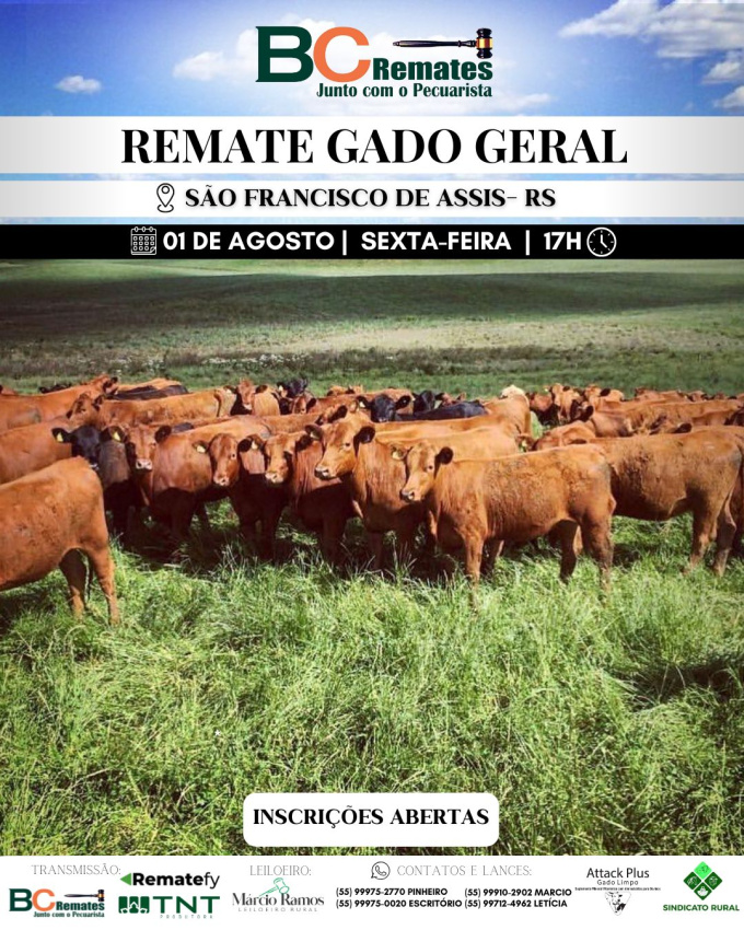 Remate Gado Geral