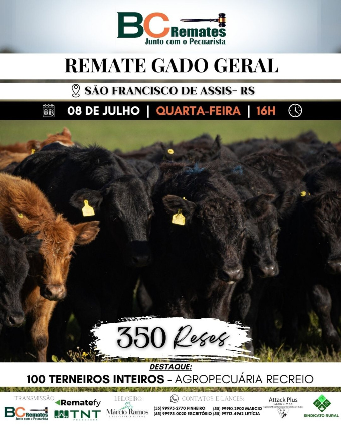 Remate Gado Geral