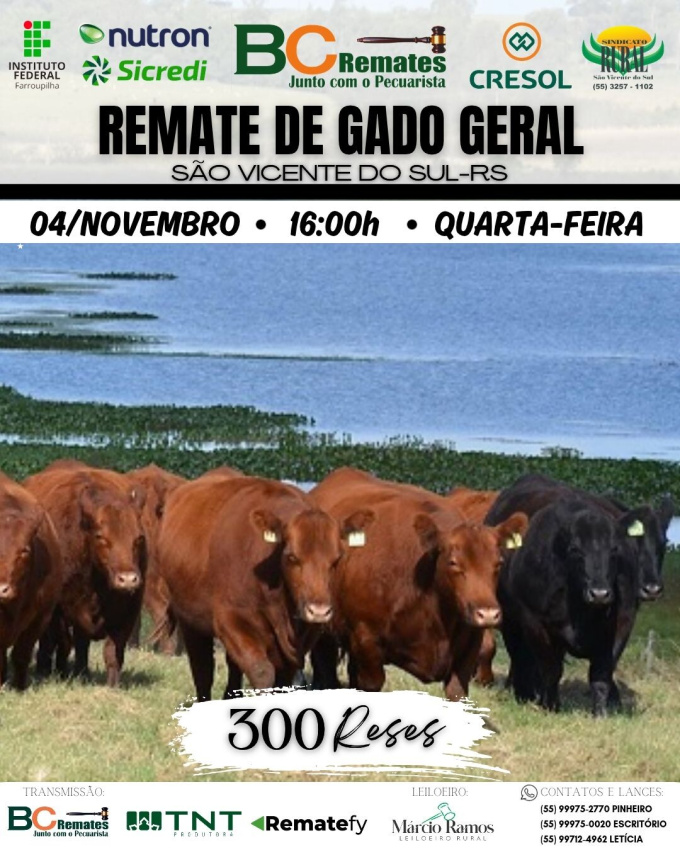 Remate Gado Geral