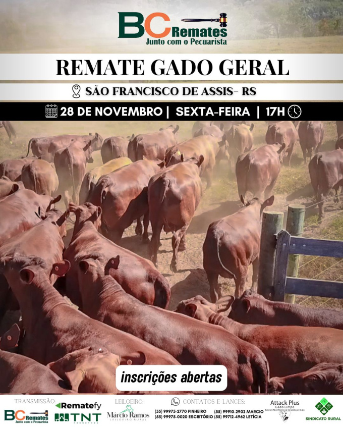 Remate Gado Geral
