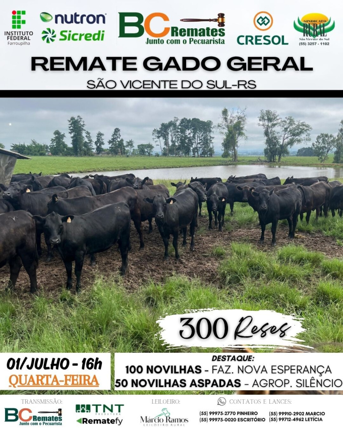 Remate Gado Geral