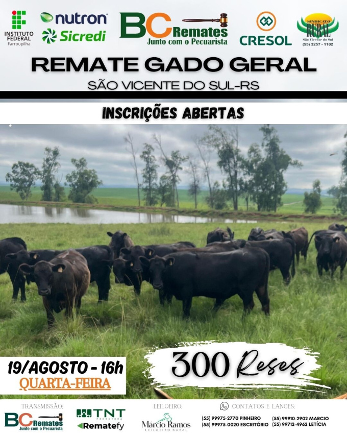 Remate Gado Geral