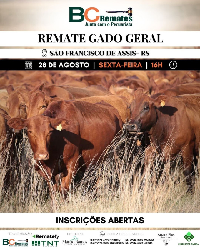 Remate Gado Geral