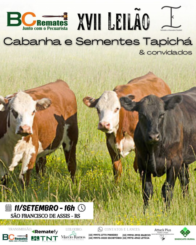 XVII Leilão Cabanha e Sementes Tapicha