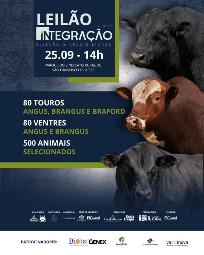 Leilão Integração