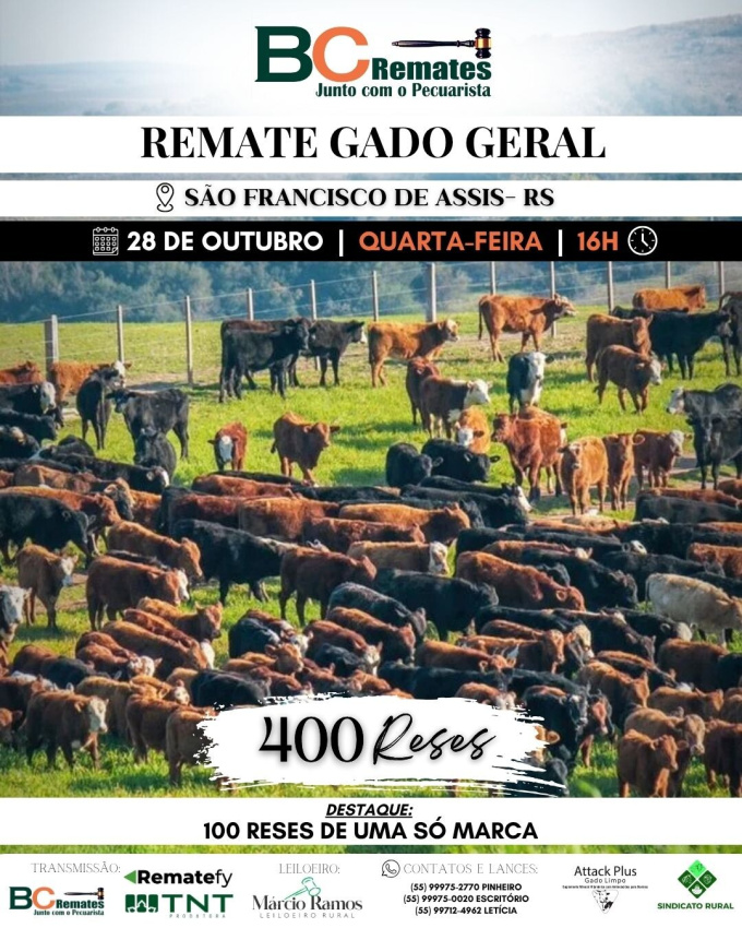Remate Gado Geral