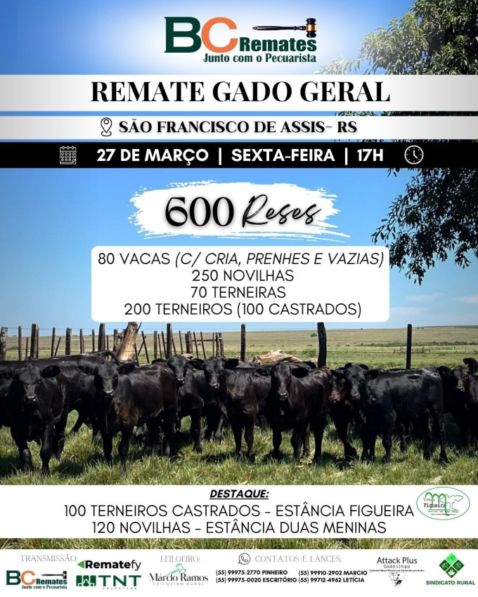 Remate Gado Geral