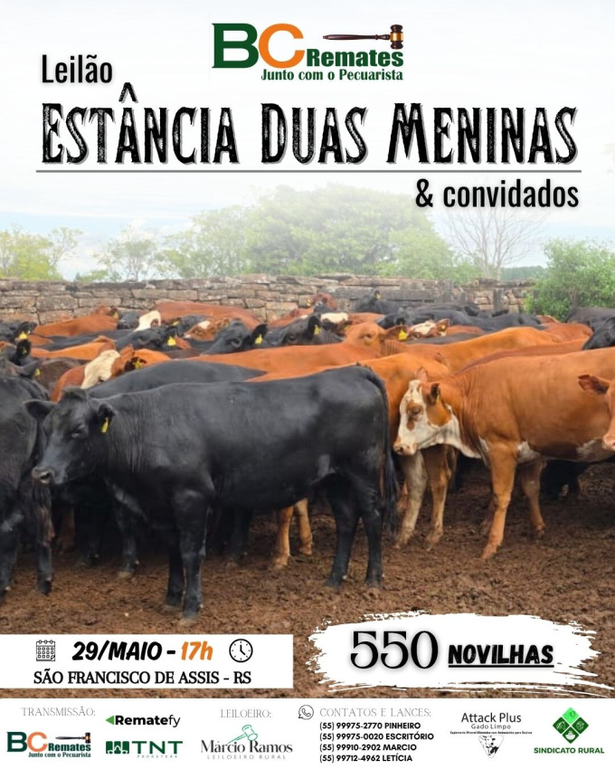 Leilão Estância Duas Meninas & convidados