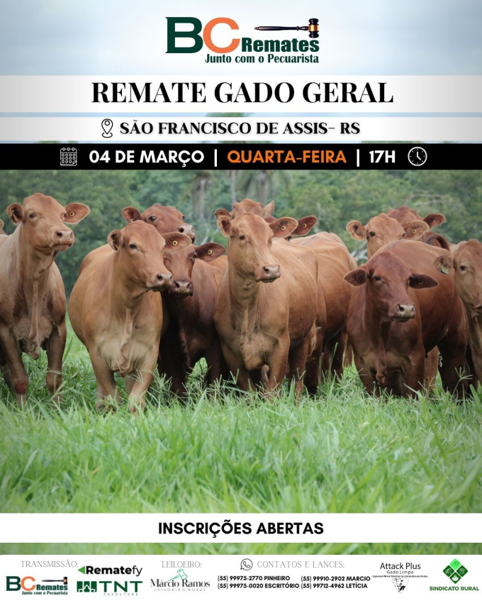 Remate Gado Geral