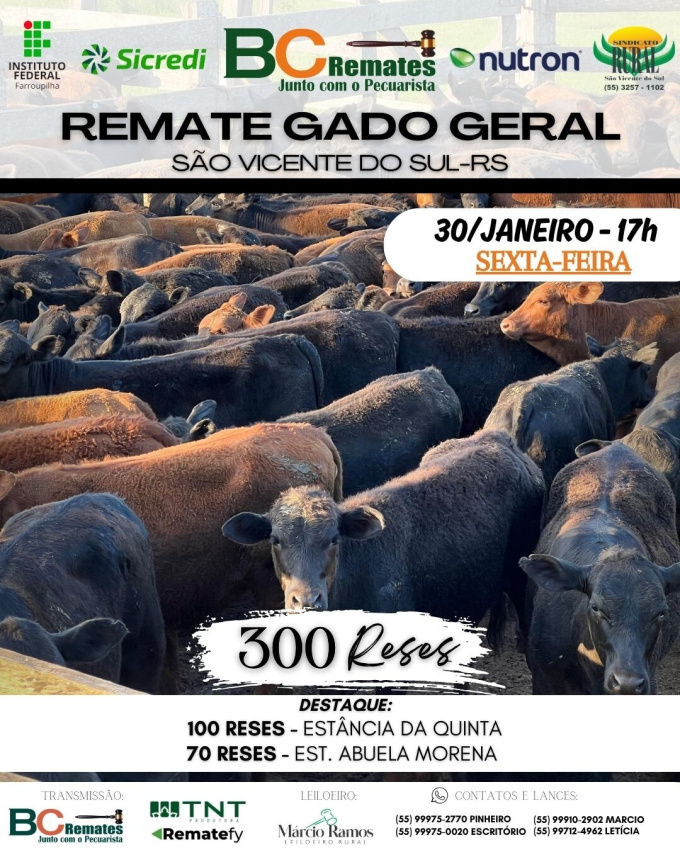 Remate Gado Geral