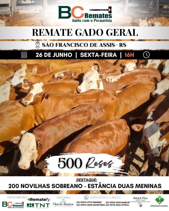 Remate Gado Geral