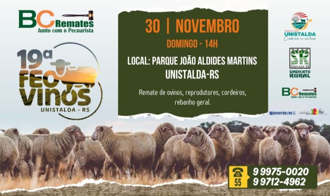 19ª FEOVINOS